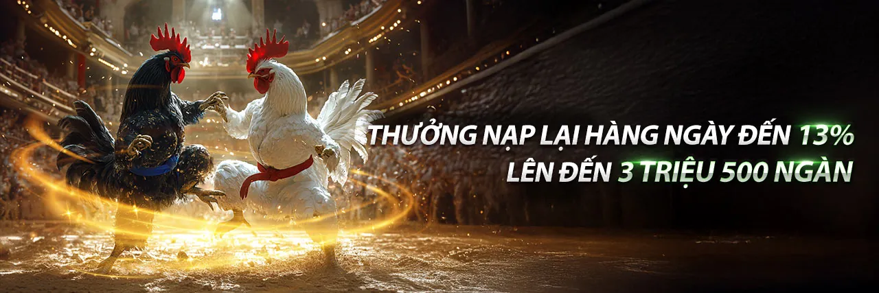 Đá Gà Trực Tuyến 77ball link 2026