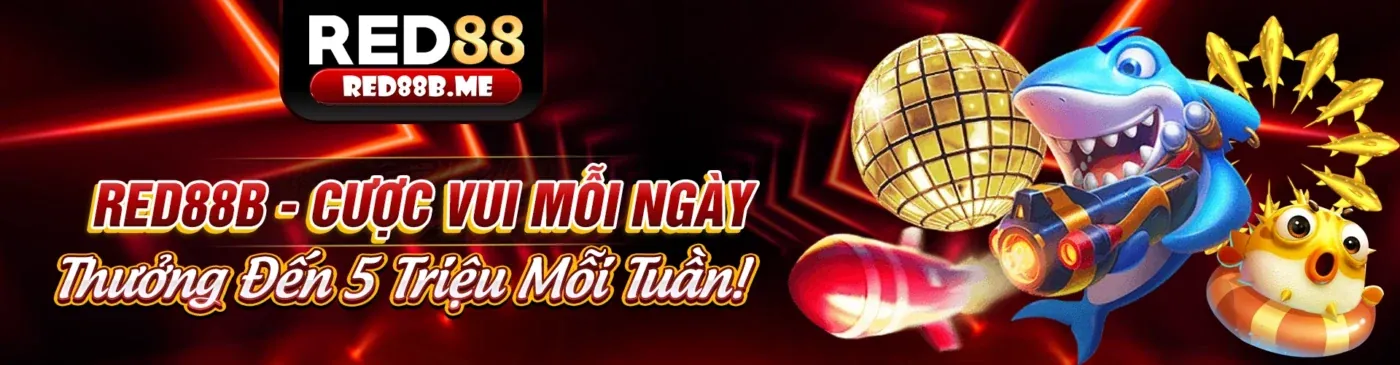 Hình ảnh chủ đạo blog 77ball link với các bài viết chuyên sâu về cá cược trực tuyến