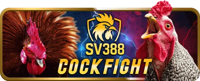 Live Casino Trực Tuyến tại 77ball Link