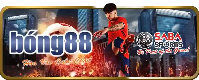 Phân tích sâu về cá cược thể thao tại 77ball link